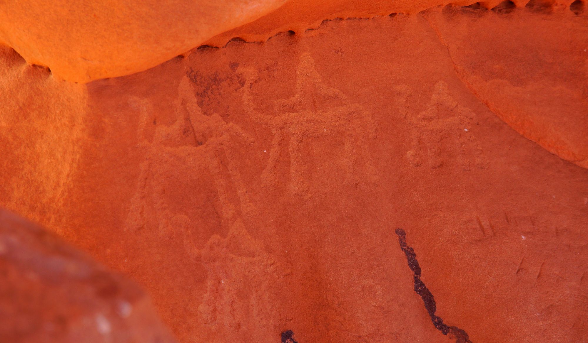 Рисунки верблюдов